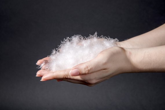112624_9 Lösungen für den Klimaschutz_ Person hält Daunen in der Hand